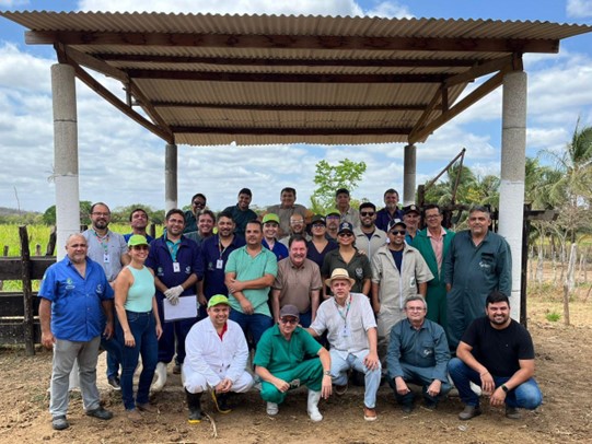 UECE e MAPA realizam treinamento do Serviço Veterinário Oficial dos estados do Ceará e Piauí.