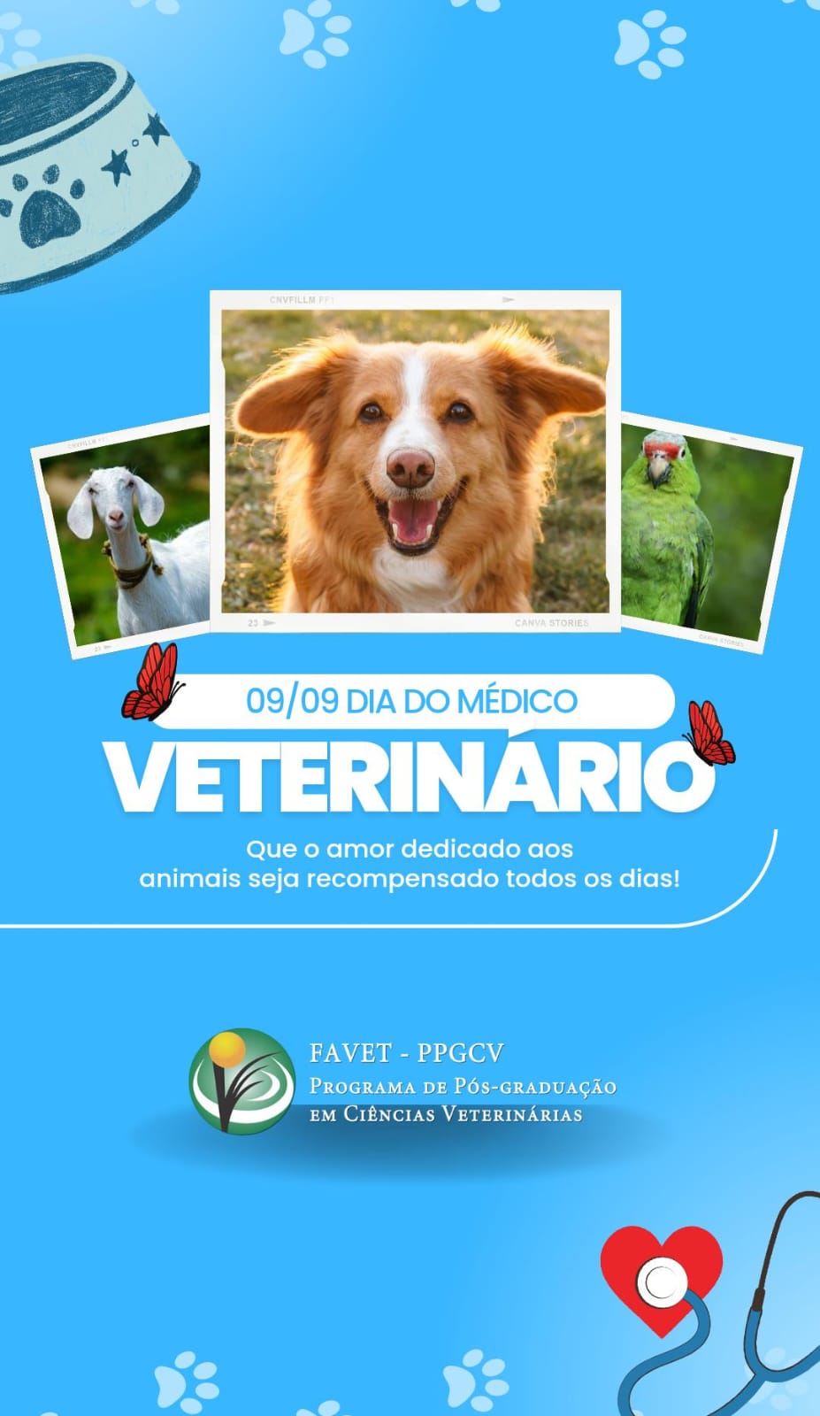 Dia do Médico Veterinário – 09/09